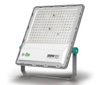 OF02-300W