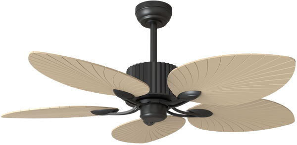 OLF-TB-5206-W